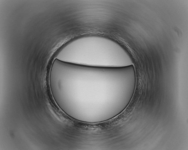 X0000112930443200908241057