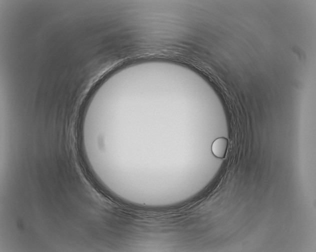 X0000112930444200908241057