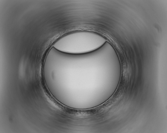 X0000112930445200908241057