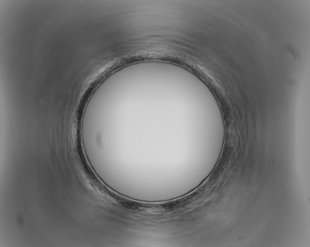 X0000112930446200908241057