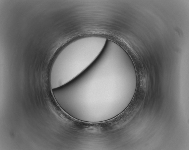 X0000112930447200908241057