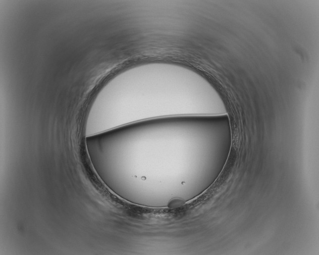 X0000112930448200908241057