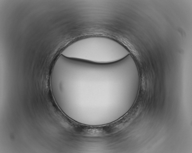 X0000112930449200908241057