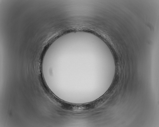 X0000112930450200908241058
