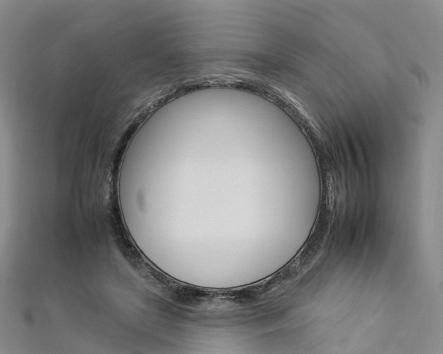 X0000112930451200908241058