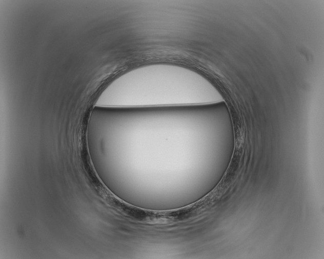 X0000112930452200908241058