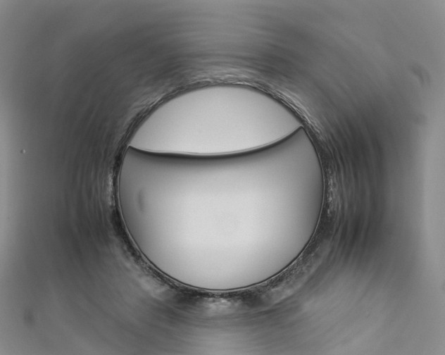 X0000112930453200908241058