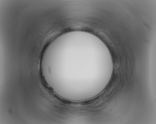 X0000112930454200908241058