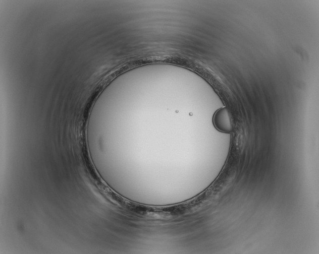 X0000112930455200908241058