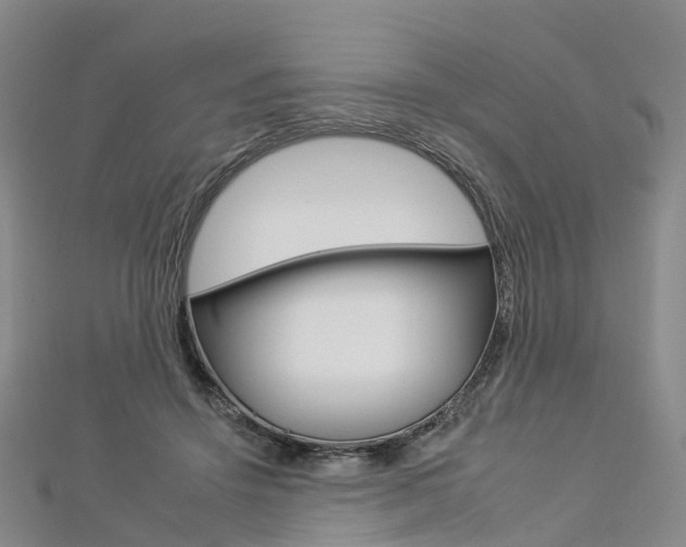 X0000112930456200908241058