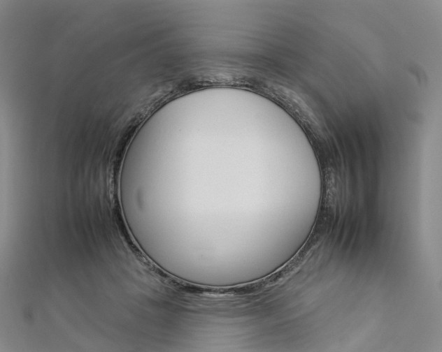 X0000112930457200908241058