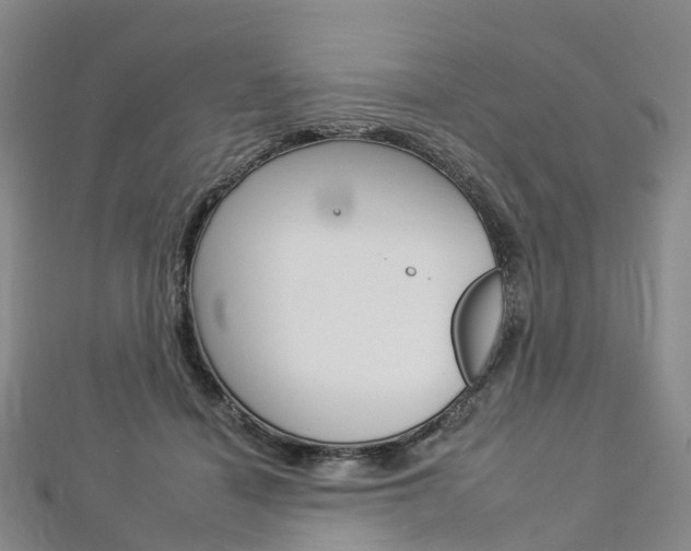 X0000112930460200908241058