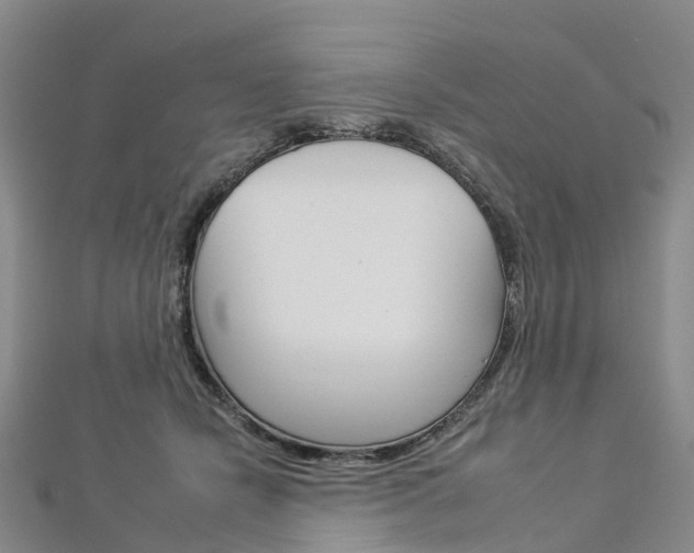 X0000112930462200908241058