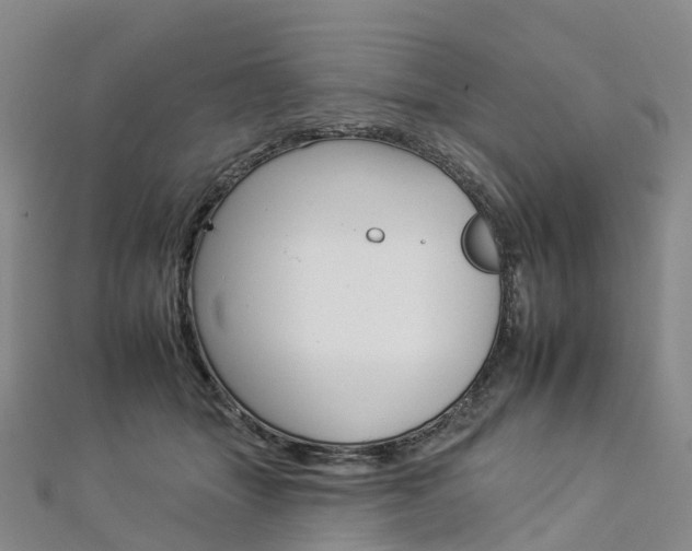 X0000112930463200908241058