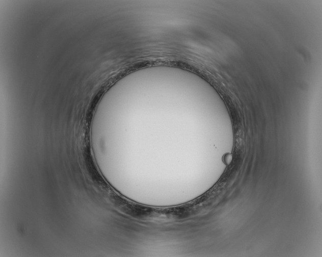 X0000112930464200908241058