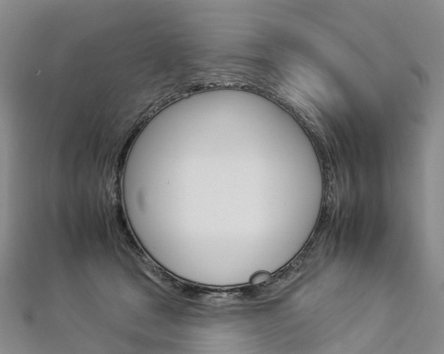 X0000112930465200908241058