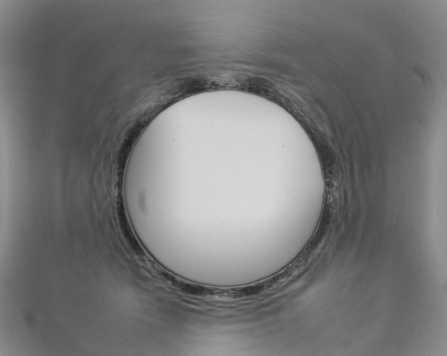 X0000112930466200908241058