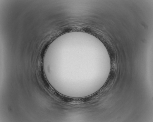 X0000112930468200908241058