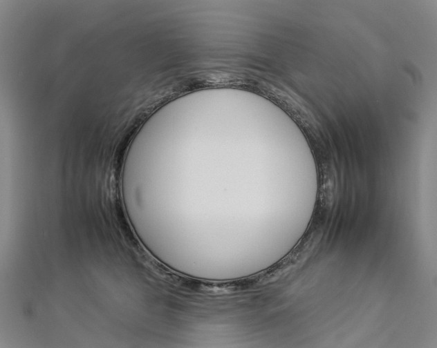 X0000112930469200908241058