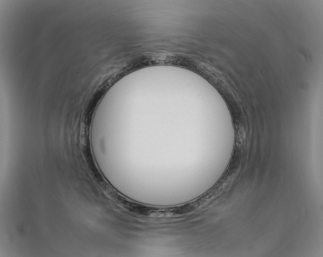 X0000112930470200908241058