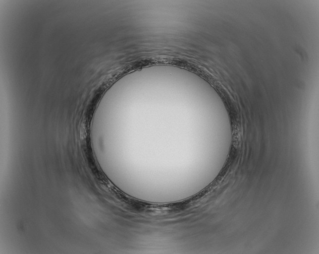 X0000112930472200908241058