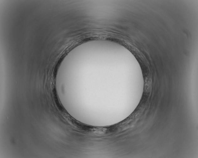 X0000112930474200908241058