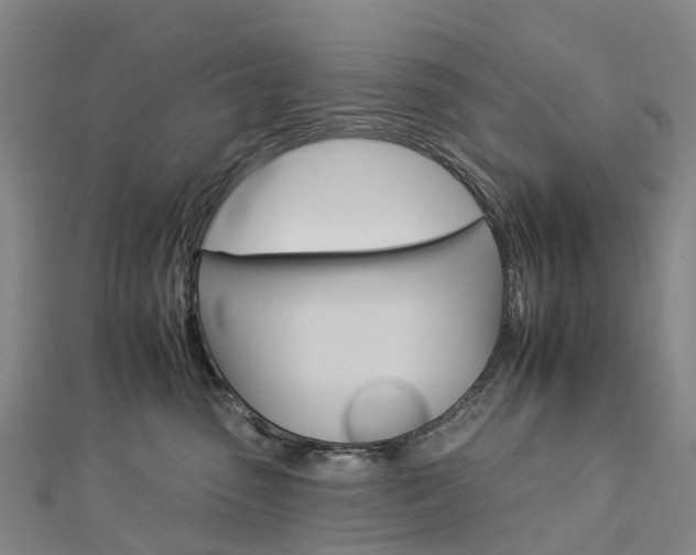 X0000112930475200908241058