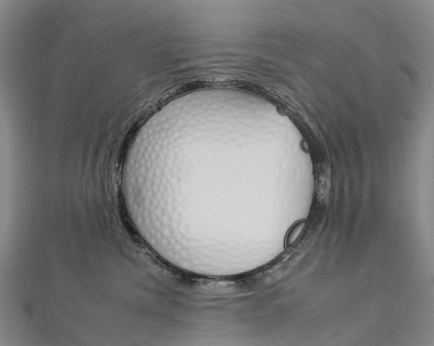 X0000112930476200908241058