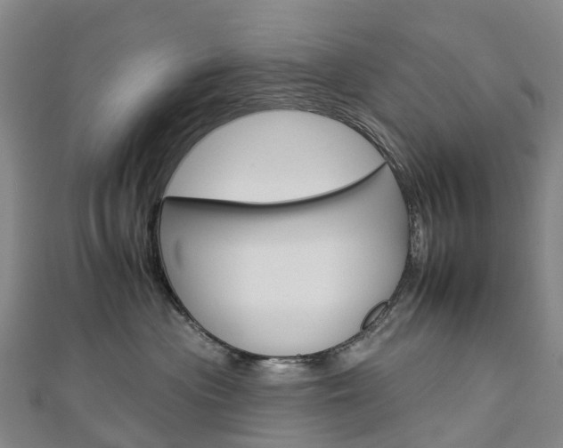X0000112930477200908241058