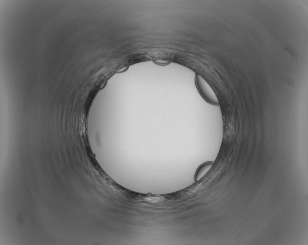 X0000112930478200908241058