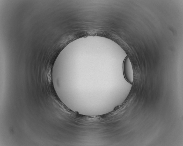 X0000112930479200908241058