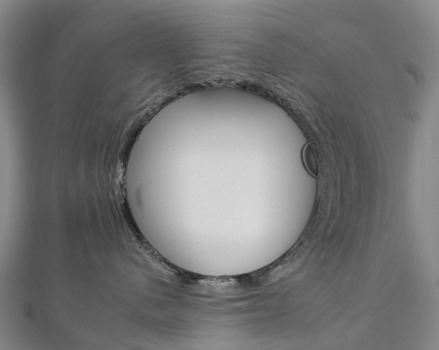 X0000112930480200908241058