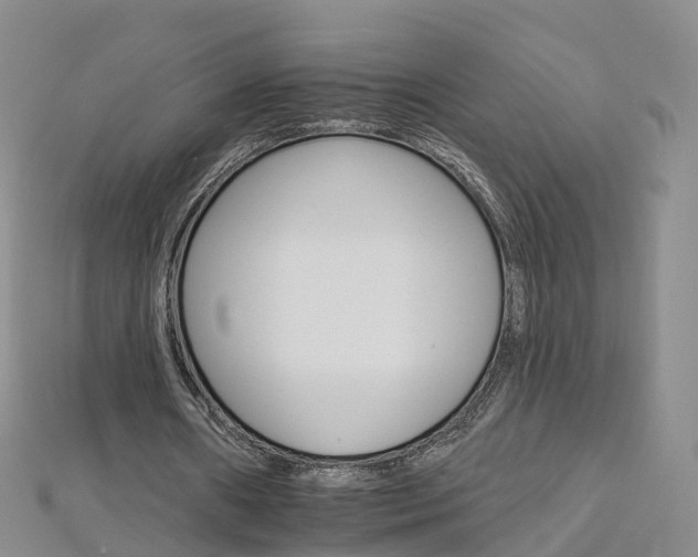 X0000112930482200908241057