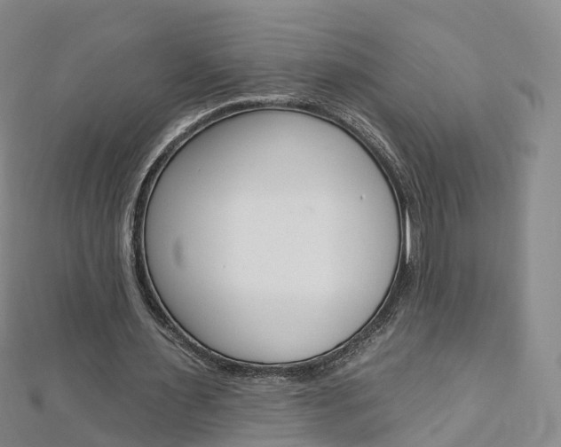 X0000112930483200908241057