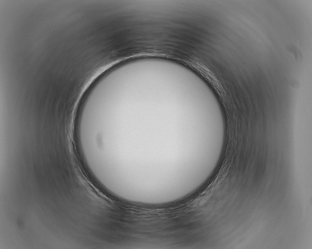 X0000112930484200908241057