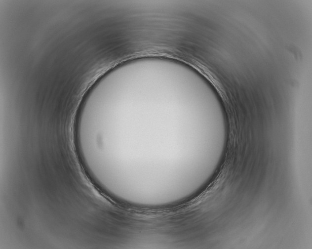 X0000112930485200908241057