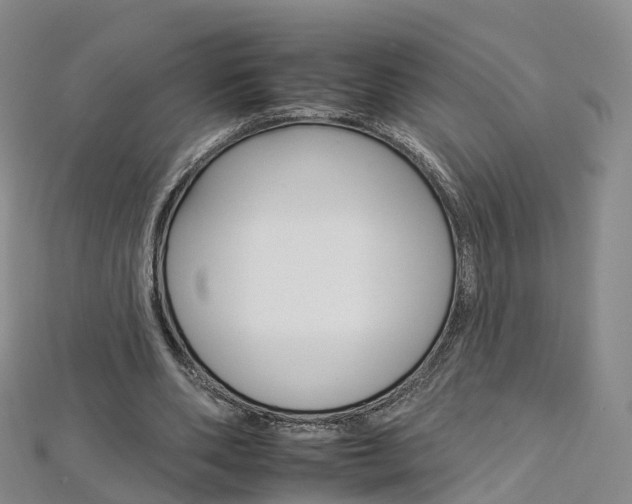 X0000112930486200908241057