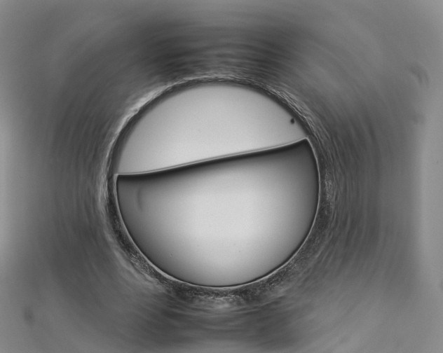 X0000112930488200908241057