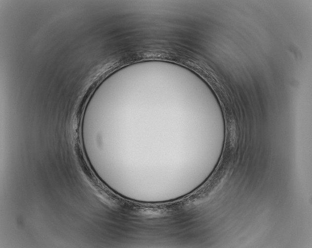 X0000112930490200908241057
