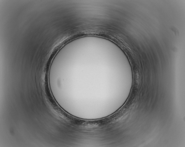 X0000112930491200908241057