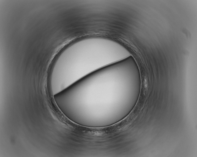 X0000112930492200908241057
