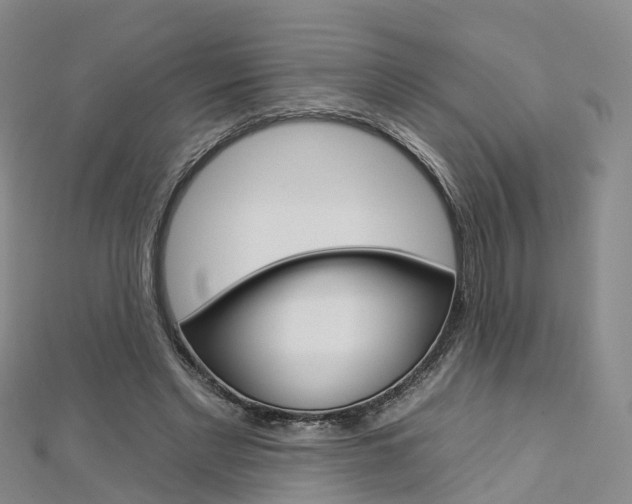 X0000112930493200908241057