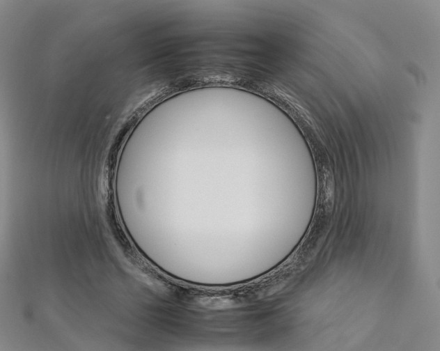 X0000112930494200908241057