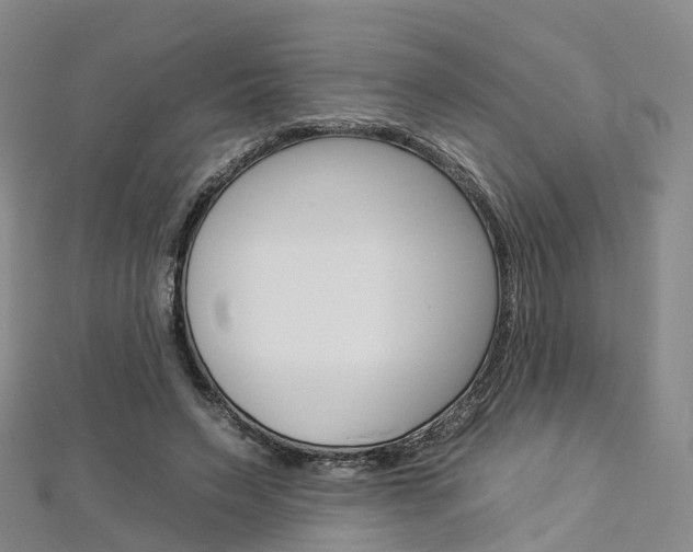 X0000112930495200908241057