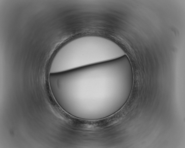 X0000112930496200908241057