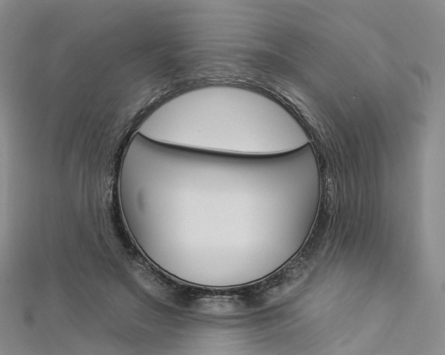 X0000112930499200908241057