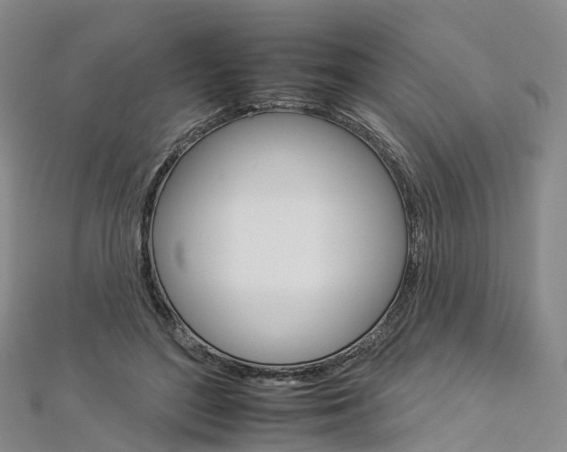 X0000112930500200908241057