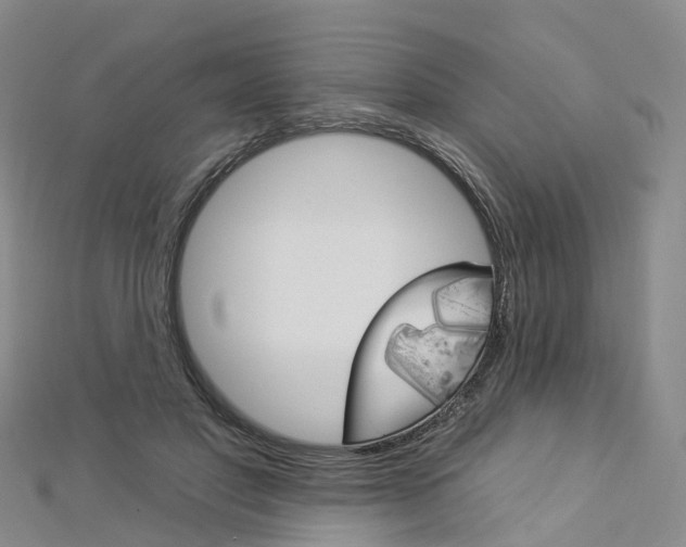 X0000112930501200908241057