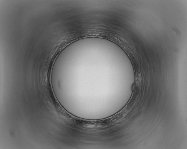 X0000112930504200908241057