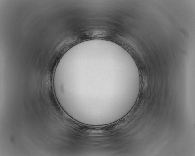 X0000112930506200908241057